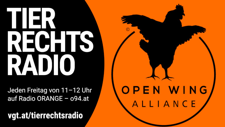 Sendungsbild für: Open Wing Alliance Konferenz