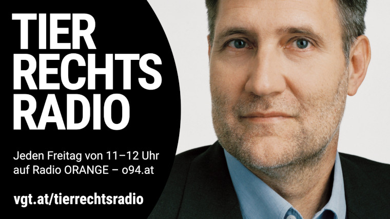 Sendungsbild für: Interview mit Grünem Wiener Landtagsabgeordneten Rüdiger Maresch