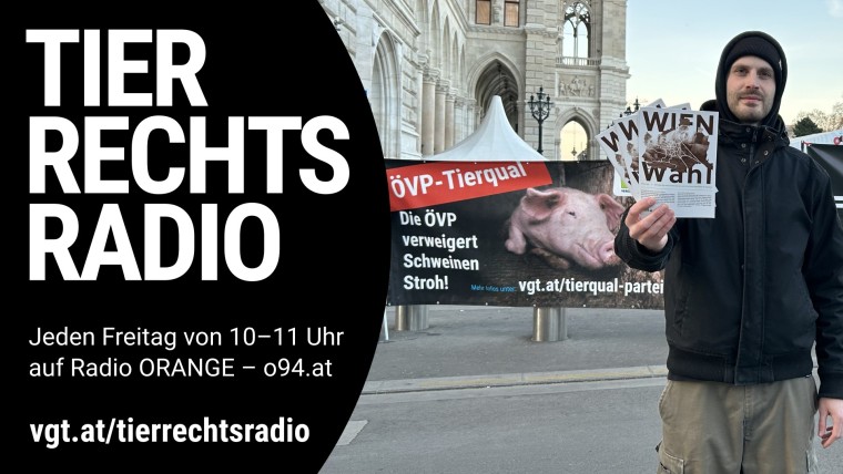 Bild zu dieser Radiosendung