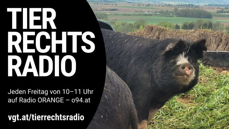 Bild zu dieser Radiosendung