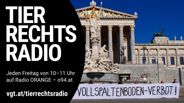Bild zu dieser Radiosendung