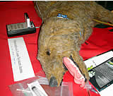 Kongress über Alternativen zu Tierversuchen - Linz 2006