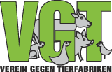 VGT fordert: Tierschutz-Zusage für Einigung in Kastenstandfrage nötig!