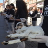 Graz, Herrengasse (170 animals): #94