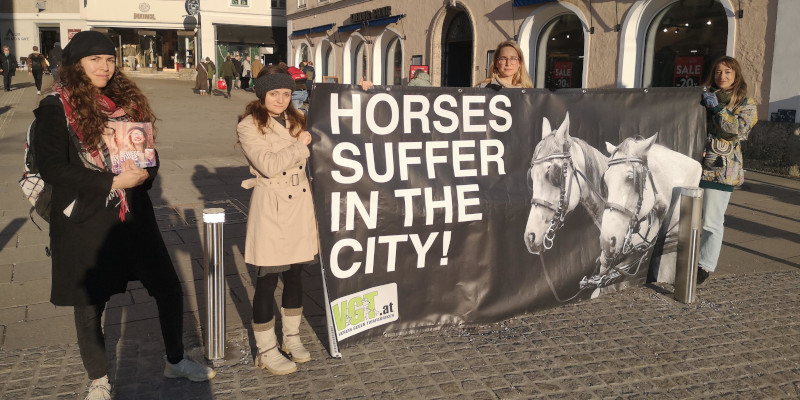 Eine typische Protestkundgebung des VGT