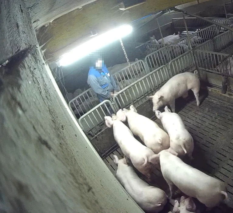 Das Bild zeigt einen (ehemaligen) Mitarbeiter der Schweinefabrik